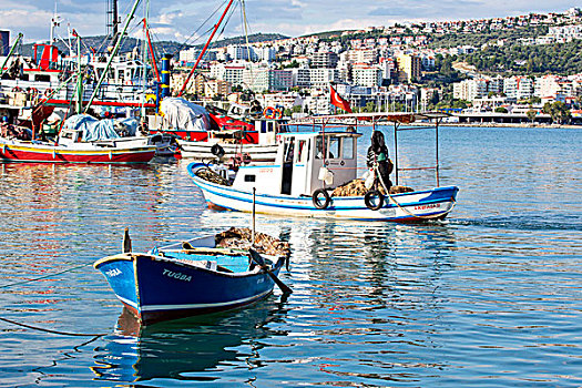 彩色,老,木质,渔船,港口,库萨达斯,土耳其