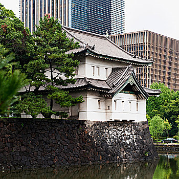 建筑,皇宫,日本