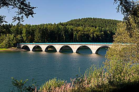 桥,上方,自然,公园,藻厄兰,北莱茵威斯特伐利亚,德国,欧洲