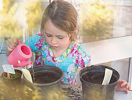 女孩,浇水,幼苗,花盆,小,粉色,洒水壶