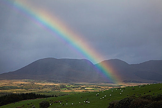 凯瑞郡,爱尔兰,彩虹,靠近