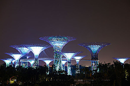 风景,小树林,花园,湾,夜晚,新加坡