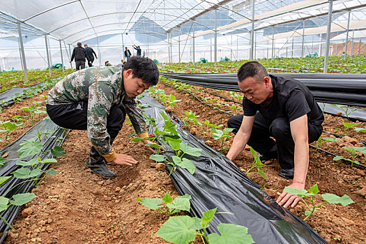 江西金溪,倾听民声,服务民需