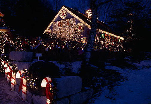 房子,花园,圣诞灯光