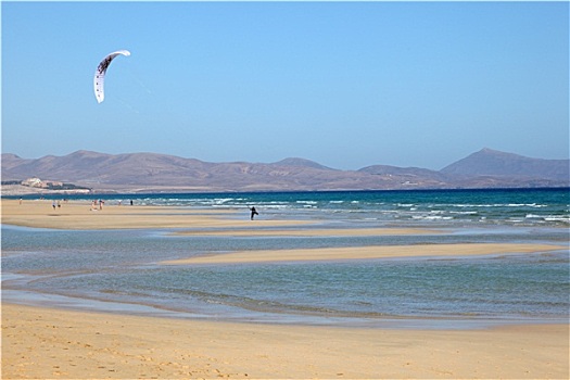风筝冲浪,海滩,加纳利群岛,富埃特文图拉岛,西班牙