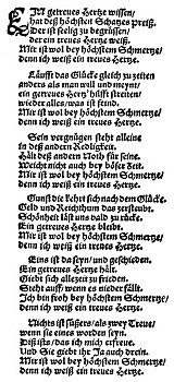 历史,1642年,歌曲,德国,作家,诗人,巴洛克,时期,插画