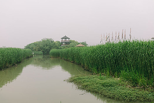 湖州德清下渚湖风光