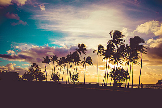 夏威夷,日落