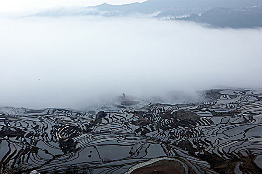 云南元阳梯田