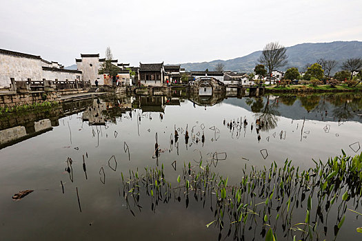 呈坎,安徽,古村落,旅游,景点,水乡,住宅,房子,小桥,拱桥,春天,居民,原生态