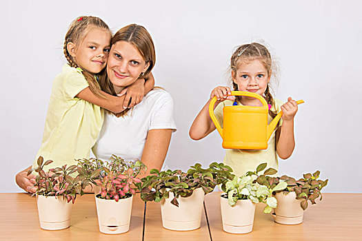 家庭,生长,盆栽植物