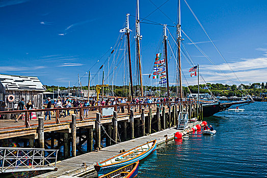 美国,新英格兰,马萨诸塞,纵帆船,节日,中心,码头