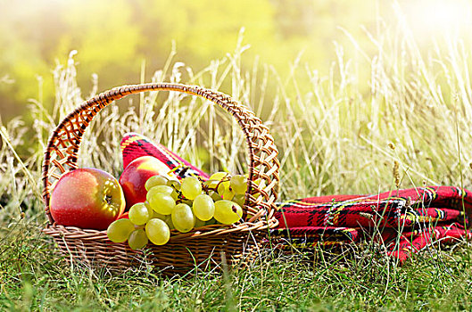 野餐篮,水果,假日,度假,概念