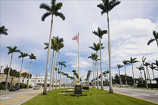 仰视,美国国旗,棕榈树,棕榈海滩,佛罗里达,美国