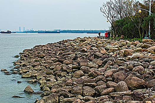 上海宝山炮台湾湿地公园风光