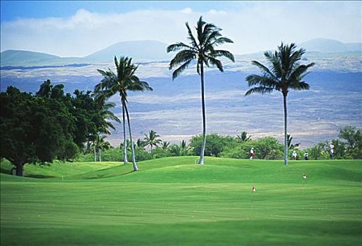 夏威夷,哈普纳,王子,高尔夫球场,俯视,绿色