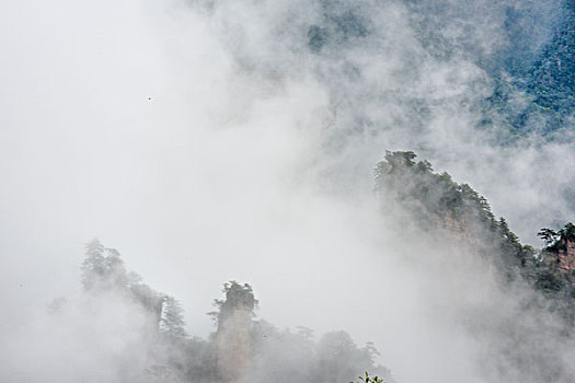 湖南,张家界,峰林,云雾