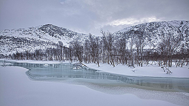 溪流,冬天,挪威,欧洲