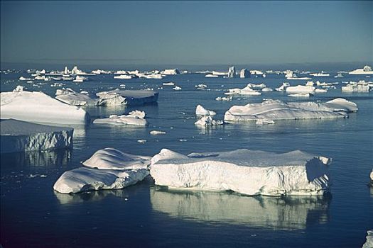 冰山,靠近,南极半岛,南极