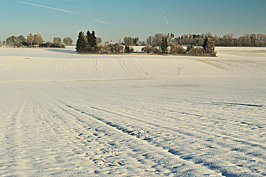 白雪覆盖的农场,领域在冬季,附近的,符腾堡,德国