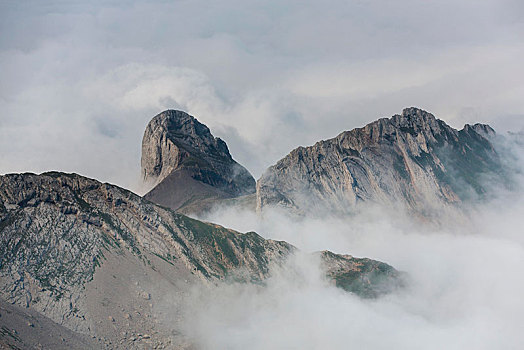雾,山脉,风景,山,阿彭策尔,瑞士,欧洲