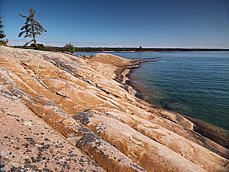 岩石,岸边,乔治亚湾,安大略省,加拿大