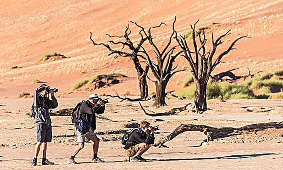 三个,远足,摄影,枯木,盐,粘土,死亡谷,索苏维来地区,纳米布沙漠,区域,纳米比亚,非洲