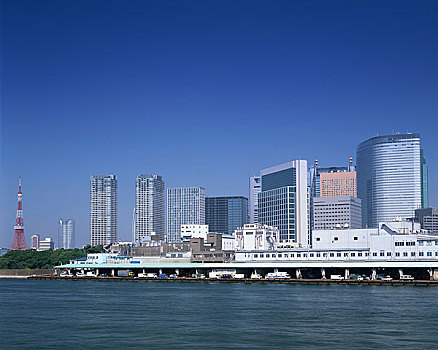 高层建筑,东京港区