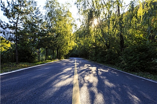 乡村公路