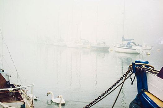 晨雾中的游艇码头