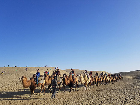 塔克拉玛干沙漠骆驼队