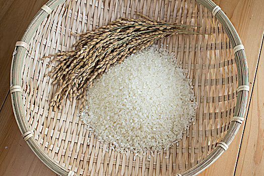 稻米,植物,竹篮