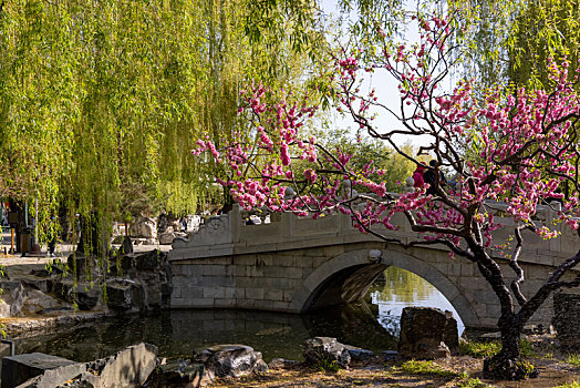 北京市,大观园景区