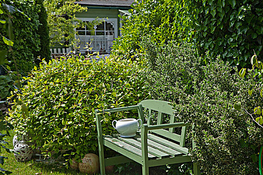 木制长椅,灌木丛,夏天,花园