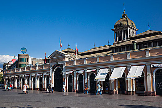 智利,圣地亚哥,市场,中心,中央市场,户外