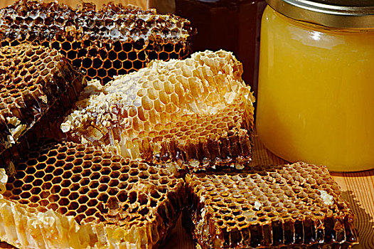 蜂蜜,蜂窝