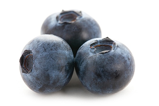 蓝莓,隔绝,白色背景,背景