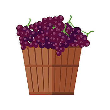 木质,篮子,葡萄,红酒,红色,藤,水果,准备,检查,旧式,葡萄酒,束,串,局部,序列,葡萄种植,制作,物品,矢量