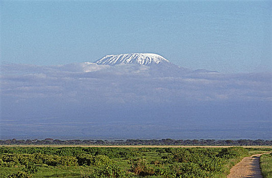大草原,山,坦桑尼亚