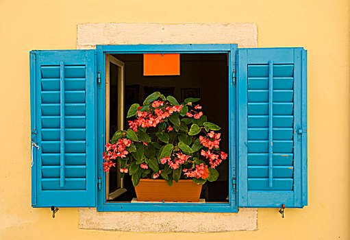 窗户,花,盒子,伊斯特利亚,克罗地亚,欧洲