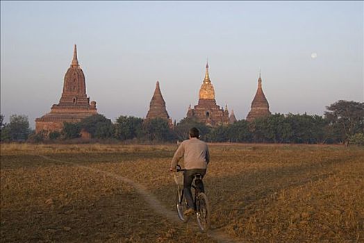 缅甸,异教,游客,自行车,场所