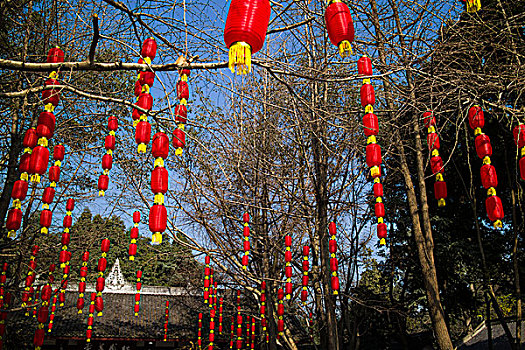 春节,灯笼,喜庆,很多