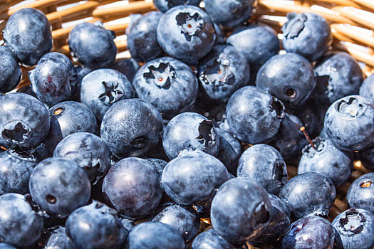 新鲜饱满的蓝莓浆果