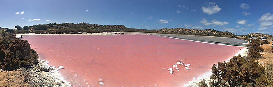 西澳粉红湖
