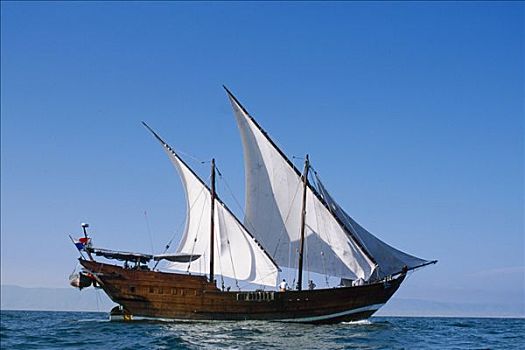 传统,独桅三角帆船,输入,印度洋,航行,海岸,阿曼