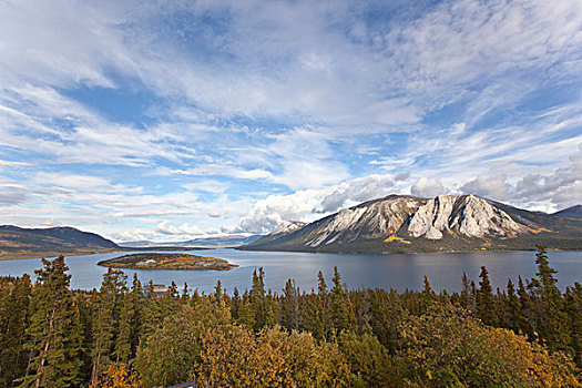 岛屿,深秋,叶子,秋色,秋天,风吹,手臂,湖,南,育空地区,加拿大