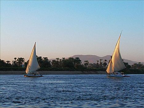 两个,帆船,河,尼罗河,埃及