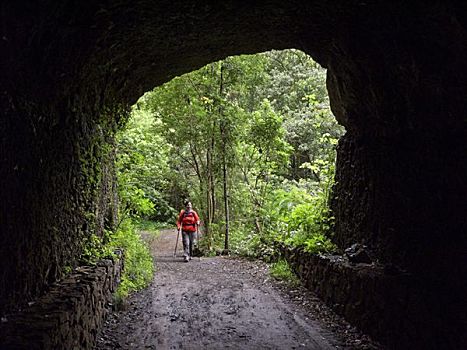 女人,走,隧道,月桂树,运河,生物保护区,帕尔玛,加纳利群岛,西班牙