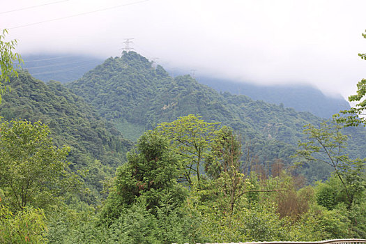 去芦山龙门古镇的路