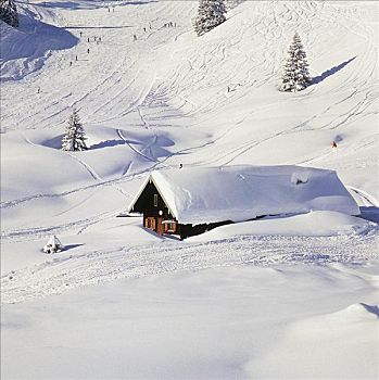 滑雪,区域,木屋,冬天,欧洲,假日
